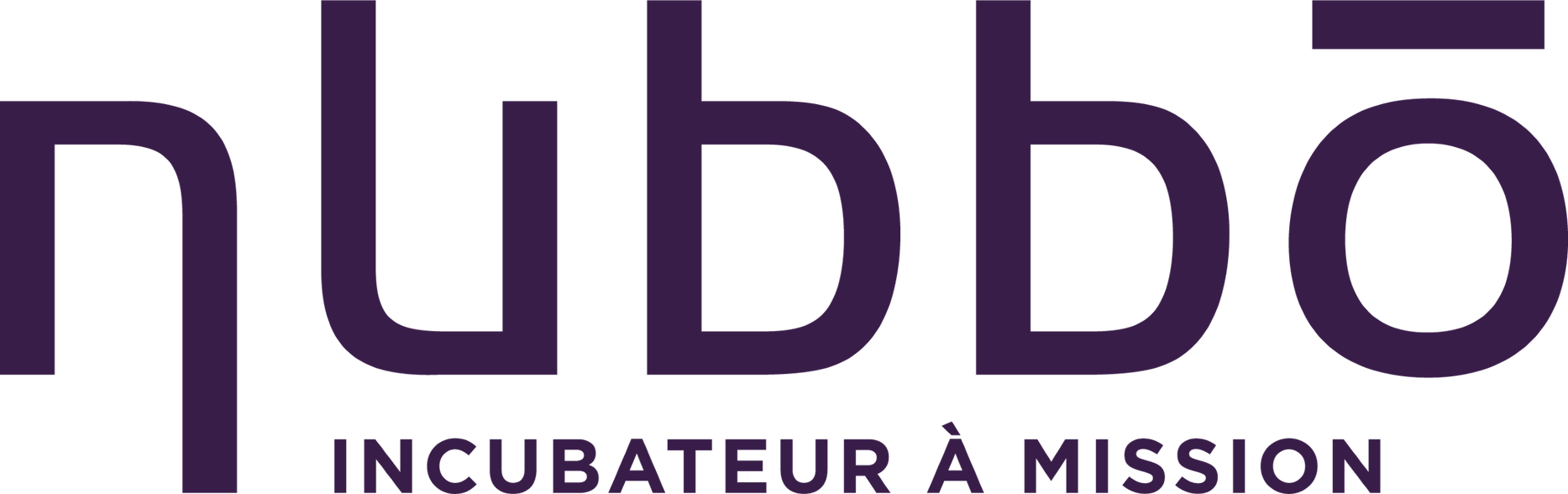 Logo Partenariat IPaidThat Nubbo
