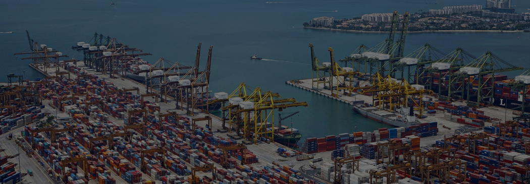 image de décoration pour le cabinet