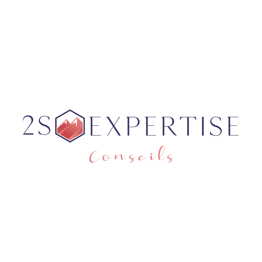 logo du cabinet 2S EXPERTISE CONSEILS