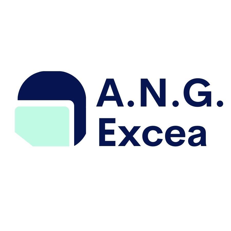 logo du cabinet A.N.G Excea